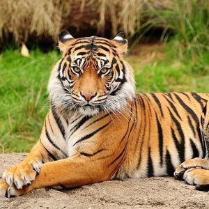 Meet your Posher, William